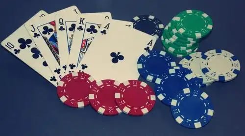 Live baccarat table with professional dealer and HD multi-camera stream on toz88 mobile app